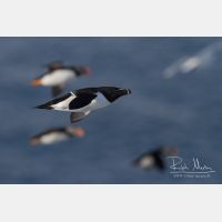 4535 x 3023_Px _RM_140325_MG_0689.jpg