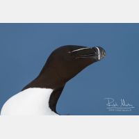 4571 x 3048_Px _RM_140325_MG_0594.jpg