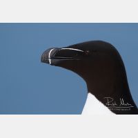 4688 x 3125_Px _RM_140325_MG_0467.jpg