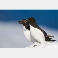 4720 x 3147_Px _RM_140325_MG_0572.jpg