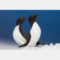 4730 x 3153_Px _RM_140325_MG_0533.jpg