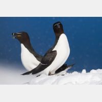 4889 x 3259_Px _RM_140325_MG_0531.jpg