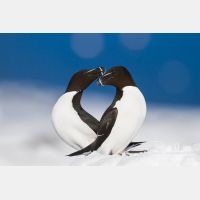 4990 x 3327_Px _RM_140325_MG_0551.jpg