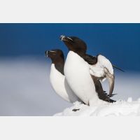 5184 x 3456_Px _RM_140325_MG_0565.jpg