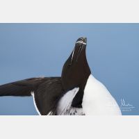 5184 x 3456_Px _RM_140325_MG_0585.jpg