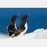 5184 x 3456_Px _RM_140325_MG_0649_b.jpg