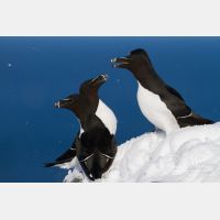 5184 x 3456_Px _RM_140325_MG_0669.jpg