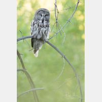 2766 x 4150 Px   _RM_190601_D2_2083.jpg