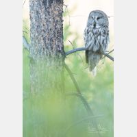 3914 x 5871 Px   _RM_190601_D4_3155.jpg