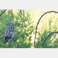 4049 x 2699 Px   _RM_190601_D2_2029.jpg