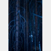 4319 x 6479 Px   _RM_190601_D4_3320.jpg