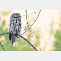 4641 x 3094 Px   _RM_190601_D2_2103.jpg