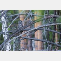 4718 x 3145 Px   _RM_190601_D2_1908.jpg