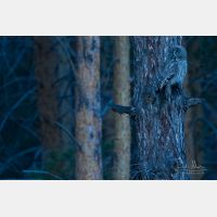 4833 x 3222 Px   _RM_190601_D2_1923.jpg