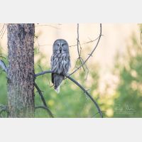 5037 x 3358 Px   _RM_190601_D2_2094.jpg