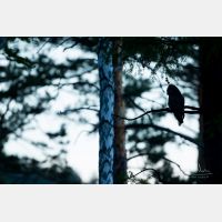 5139 x 3426 Px   _RM_190601_D4_3238.jpg