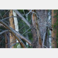 5472 x 3648 Px   _RM_190601_D2_1928.jpg