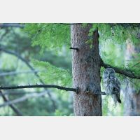 5966 x 3978 Px   _RM_190601_D4_3250.jpg