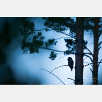 6218 x 4145 Px   _RM_190601_D4_3307.jpg