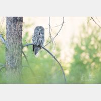 6249 x 4166 Px   _RM_190601_D4_3134.jpg