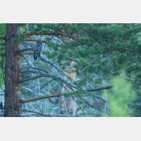 6310 x 4207 Px   _RM_190601_D4_3225.jpg