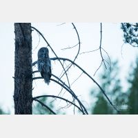 6416 x 4278 Px   _RM_190601_D4_3198.jpg