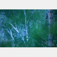 6720 x 4480 Px   _RM_190601_D4_3277.jpg