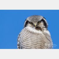 3690 x 2460_Px _RM_140323_MG_9150.jpg