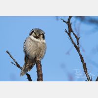 4724 x 3149_Px _RM_140323_MG_9104.jpg