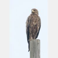 2432 x 3648 Px   _RM_190904_D2_1236.jpg