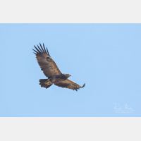 3828 x 2552 Px   _RM_190901_D2_9967.jpg