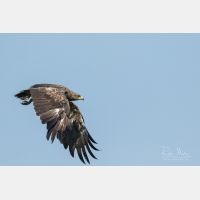 3979 x 2653 Px   _RM_190902_D2_0174.jpg