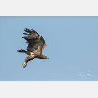 4359 x 2906 Px   _RM_190902_D2_0175.jpg