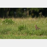 4713 x 3142 Px   _RM_190902_D2_0633.jpg