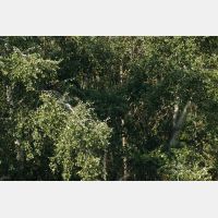 4920 x 3280 Px   _RM_190902_D2_0636.jpg