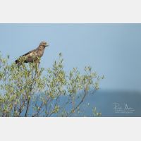 5067 x 3378 Px   _RM_190902_D2_0136.jpg