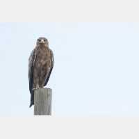 5234 x 3490 Px   _RM_190904_D2_1209.jpg