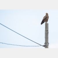 5322 x 3548 Px   _RM_190904_D3_2306-Pano.jpg