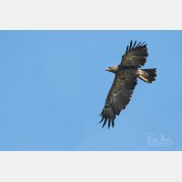 5472 x 3648 Px   _RM_190902_D2_0217_b.jpg