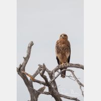 2107 x 3160_Px _RM_071215_MG_8418.jpg