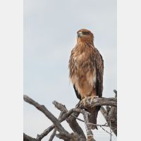 2276 x 3415_Px _RM_071215_MG_8437.jpg