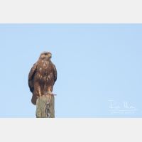 2918 x 1945_Px _RM_100410_MG_9718.jpg