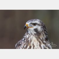 3327 x 2218_Px _RM_131126_MG_1822_b.jpg