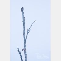 3418 x 5127_Px _RM_160119_MG_1464.jpg