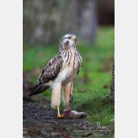 3456 x 5184_Px _RM_131126_MG_1799_b.jpg