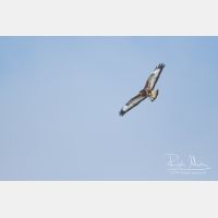 3620 x 2413_Px _RM_130218_MG_9588.jpg