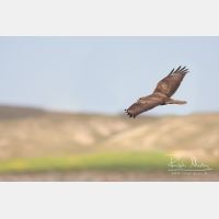 3888 x 2592_Px _RM_100410_MG_9658.jpg