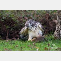 4397 x 2931_Px _RM_131126_MG_1471.jpg