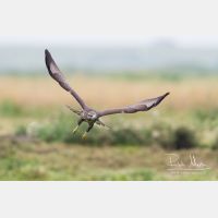 4476 x 2984_Px _RM_130816_MG_2117.jpg