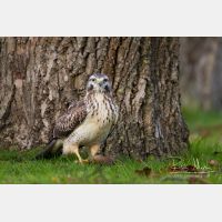 4691 x 3128_Px _RM_131126_MG_1517.jpg